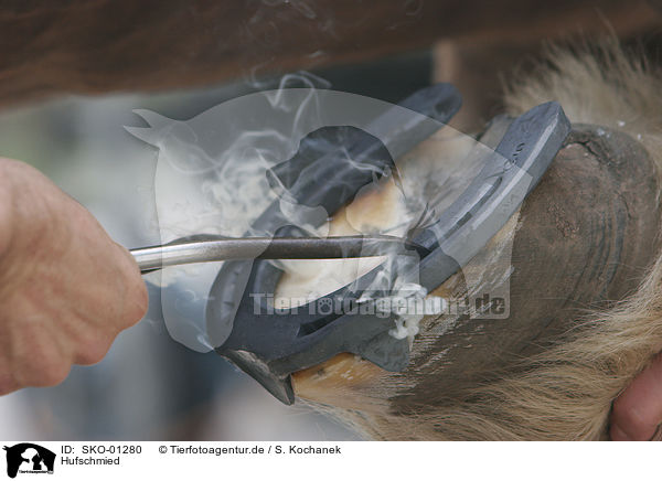 Hufschmied / farrier / SKO-01280