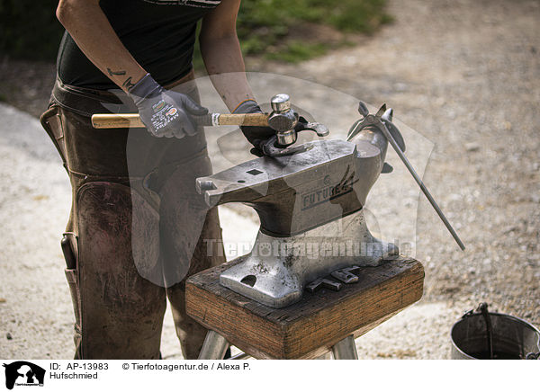 Hufschmied / Blacksmith / AP-13983