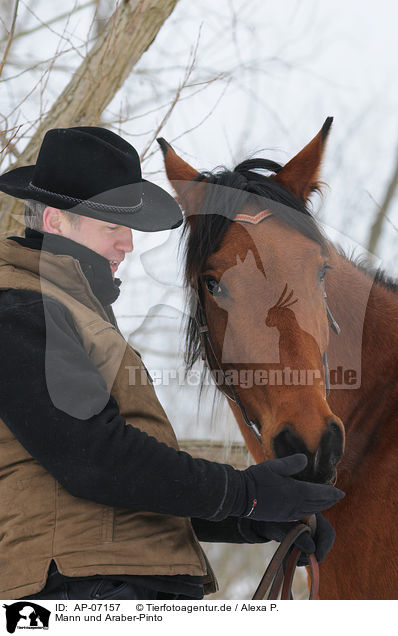 Mann und Araber-Pinto / man and halfbreed / AP-07157