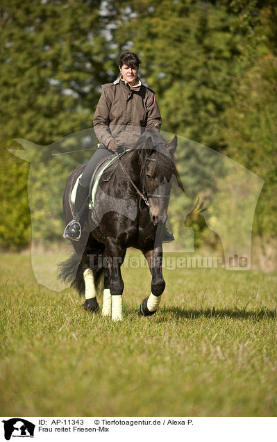 Frau reitet Friesen-Mix / woman rides warmblood / AP-11343