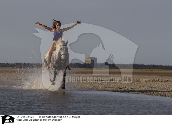 Frau und Lipizzaner-Mix im Wasser / woman and Lipizzaner-Cross in the water / JM-05423