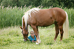 Frau und Haflinger-Mix