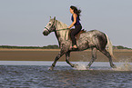 Frau und Lipizzaner-Mix im Wasser