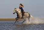 Frau und Lipizzaner-Mix im Wasser