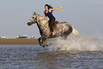 Frau und Lipizzaner-Mix im Wasser