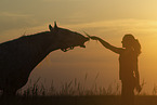 Frau und Lipizzaner-Mix