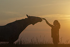 Frau und Lipizzaner-Mix