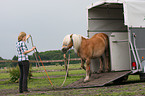 Frau mit Haflinger