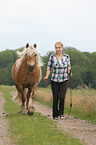 Frau mit Haflinger