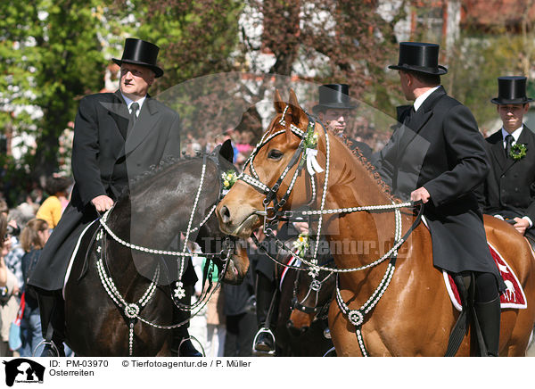 Osterreiten / PM-03970