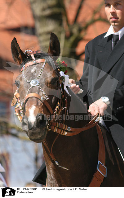 Osterreiten / riding / PM-03981