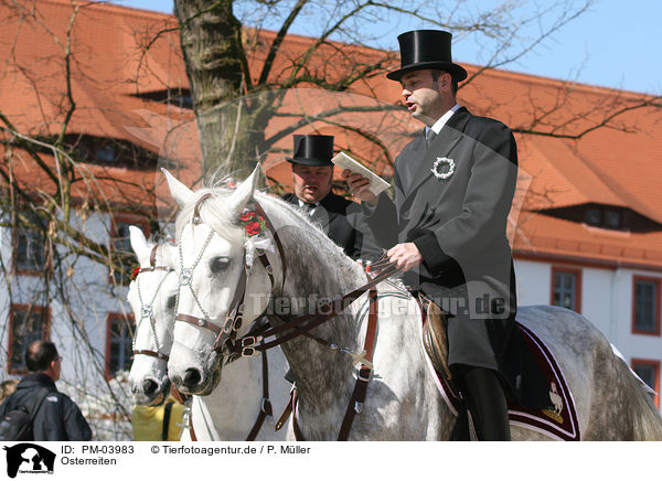 Osterreiten / PM-03983