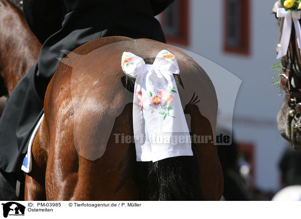 Osterreiten / riding / PM-03985