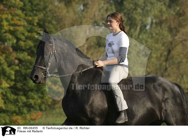 Friese mit Reiterin / friesian with horsewoman / RR-06455