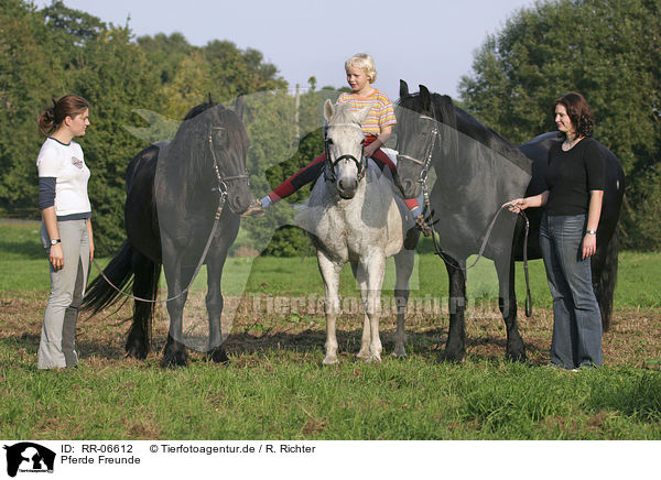 Pferde Freunde / horse friends / RR-06612