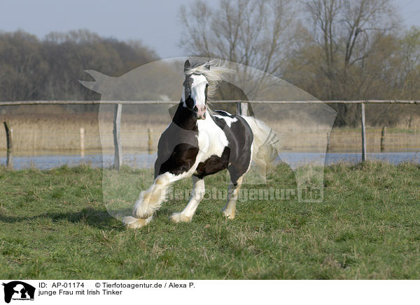 junge Frau mit Irish Tinker / young woman with horse / AP-01174