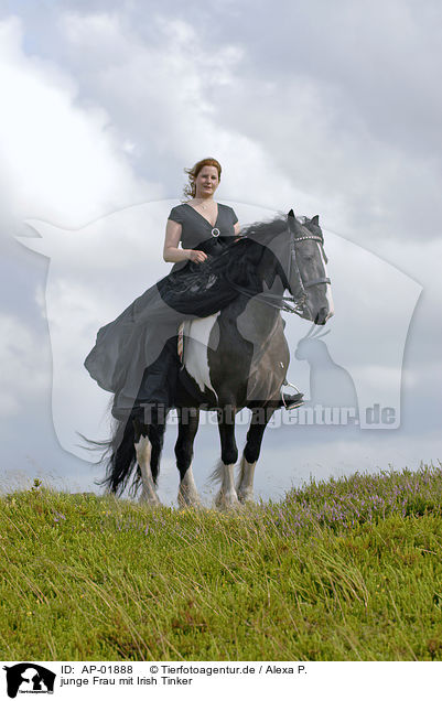 junge Frau mit Irish Tinker / young woman riding Irish Tinker / AP-01888