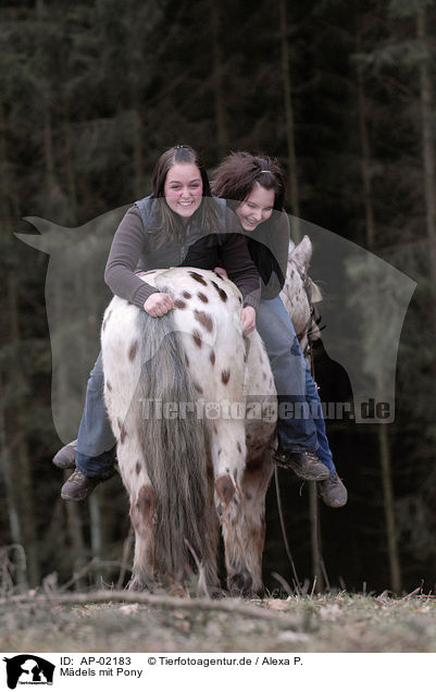 Mdels mit Pony / girls with pony / AP-02183