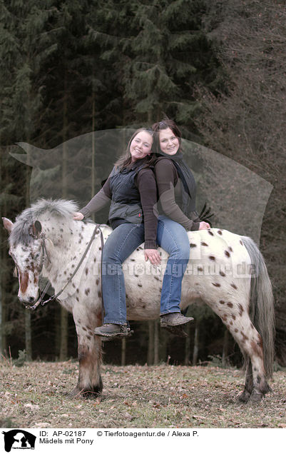 Mdels mit Pony / girls with pony / AP-02187