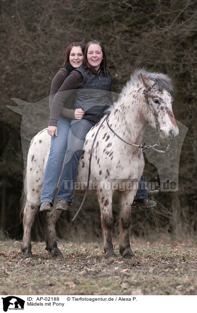 Mdels mit Pony / AP-02188