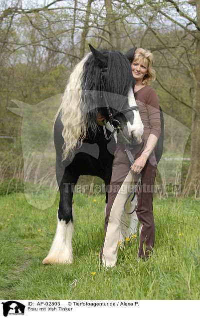 Frau mit Irish Tinker / woman with Irish Tinker / AP-02803