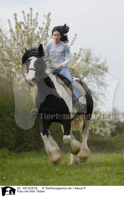 Frau mit Irish Tinker / AP-02816