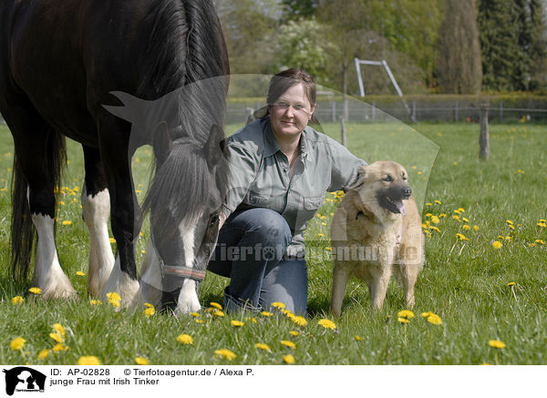 junge Frau mit Irish Tinker / young woman with Irish Tinker / AP-02828