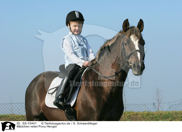 Mdchen reitet Pony Hengst / girl rides pony stallion / SS-15441
