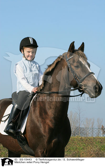 Mdchen reitet Pony Hengst / girl rides pony stallion / SS-15443