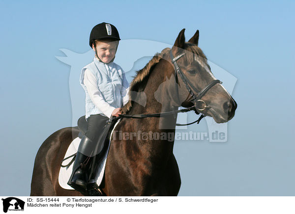 Mdchen reitet Pony Hengst / girl rides pony stallion / SS-15444