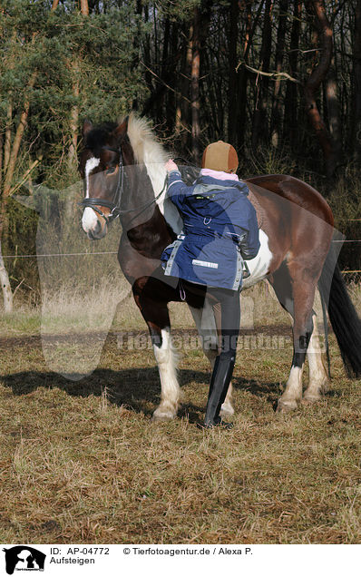 Aufsteigen / climbing a horse / AP-04772