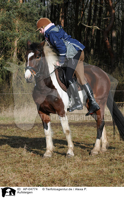 Aufsteigen / climbing a horse / AP-04774