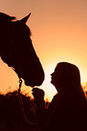 Pferd und Mensch im Sonnenuntergang