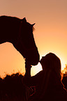 Pferd und Mensch im Sonnenuntergang