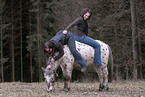 Mdels mit Pony