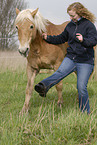 Frau mit Haflinger