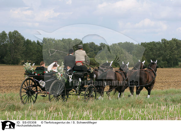 Hochzeitskutsche / bridal carriage / SS-05308