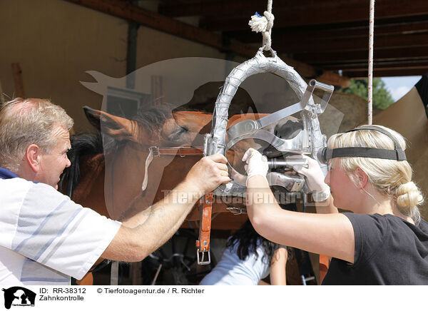 Zahnkontrolle / RR-38312
