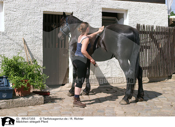 Mdchen striegelt Pferd / RR-07355