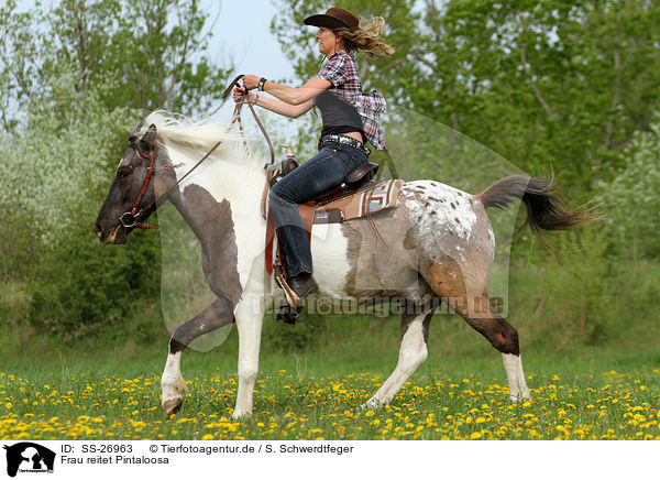 Frau reitet Pintaloosa / woman rides Pintaloosa / SS-26963