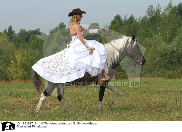 Frau reitet Pintaloosa / woman rides Pintaloosa / SS-28716