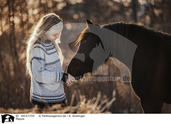 Rappe / black horse / AA-01705