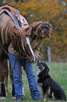 Frau mit Pferd und Hund