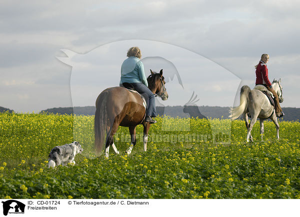 Freizeitreiten / rinding / CD-01724