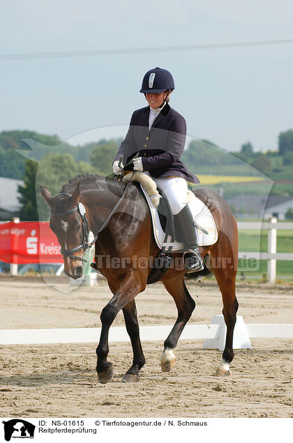 Reitpferdeprfung / tournament / NS-01615