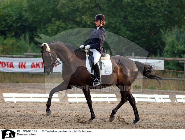 Dressurreiten / dressage / NS-01639