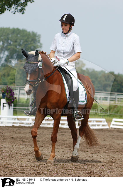 Dressurreiten / dressage / NS-01648