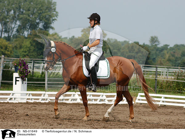 Dressurreiten / dressage / NS-01649