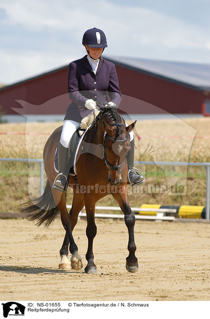 Reitpferdeprfung / tournament / NS-01655