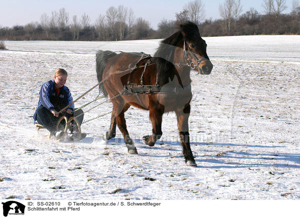 Schlittenfahrt mit Pferd / SS-02610